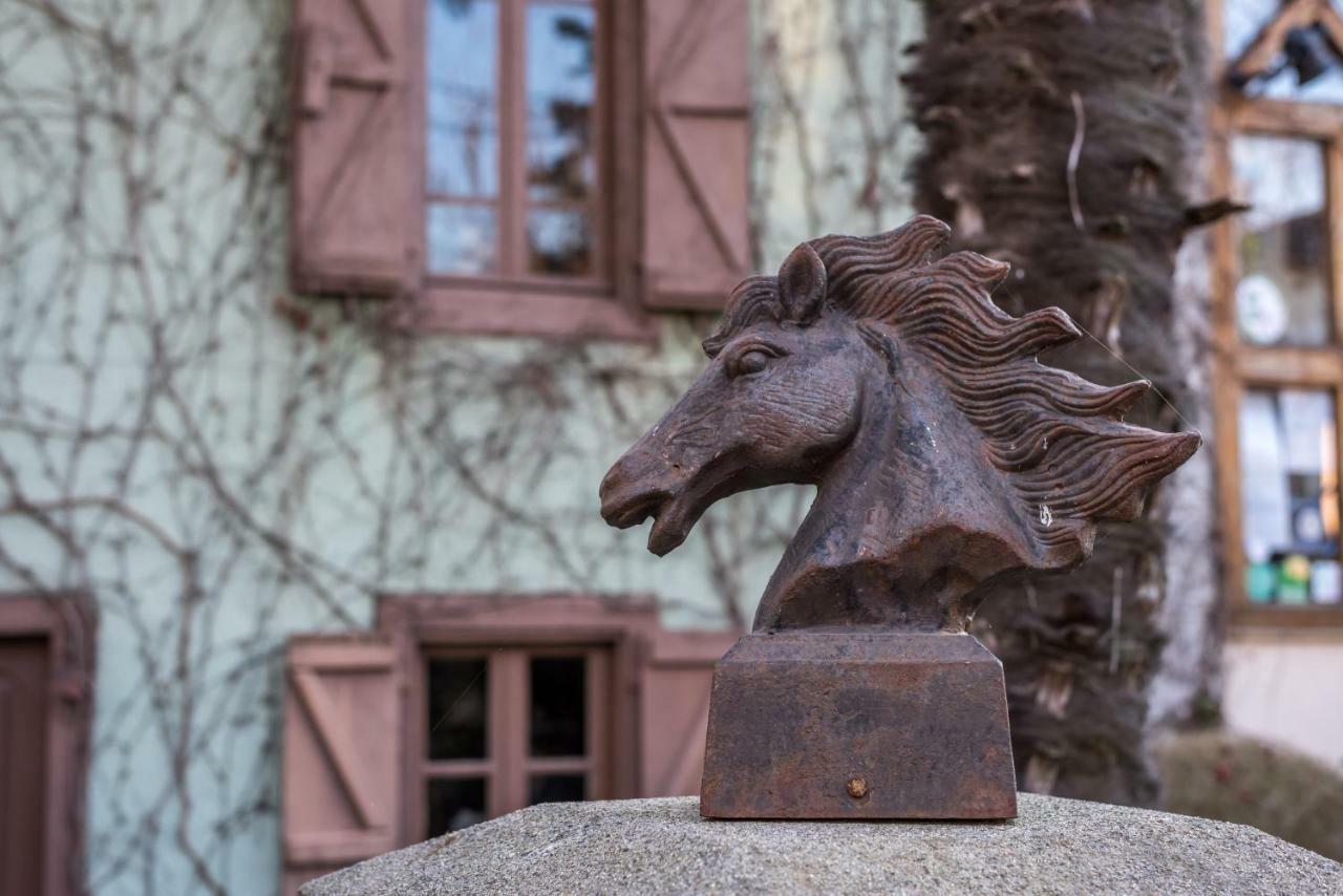 Haras Picard Du Sant Bed and Breakfast Lasserre  Buitenkant foto